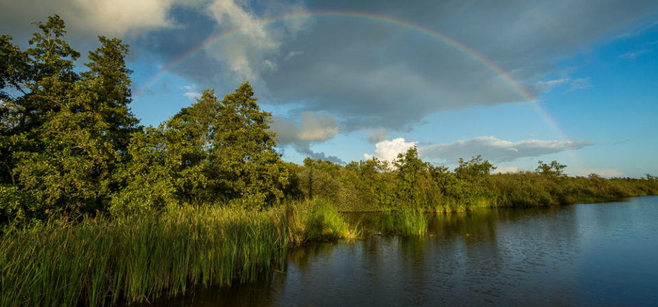 Nationaal_Park_De_Alde_Feanen