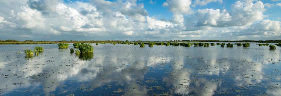 Nationaal_Park_De_Alde_Feanen
