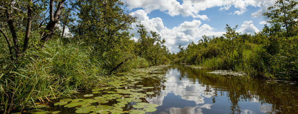Nationaal_Park_De_Alde_Feanen