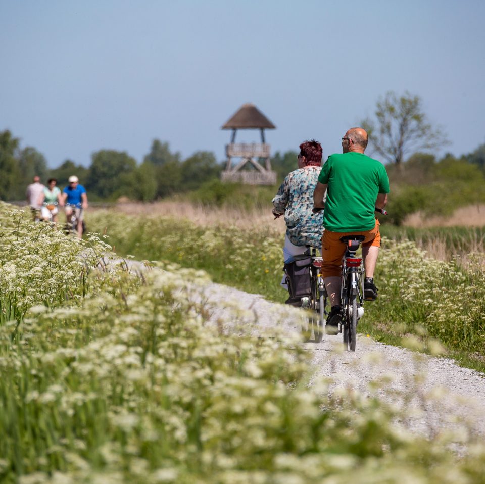 fietsen nationaal park de alde feanen